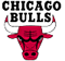 Chicago Bulls Home Page